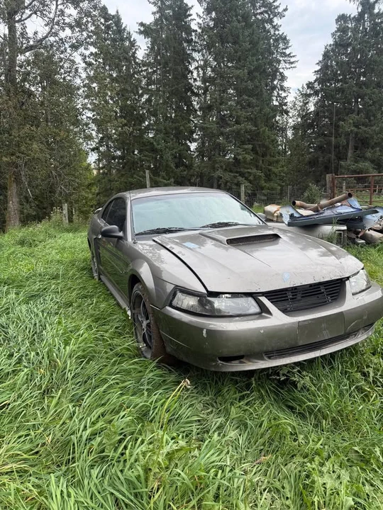 2002 Ford SN95 Mustang - Image 3 of 4