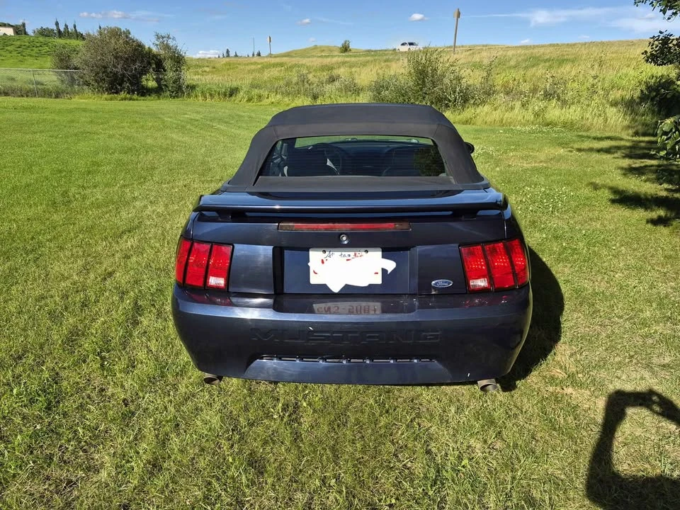 2002 Ford SN95 Mustang - Image 11 of 11