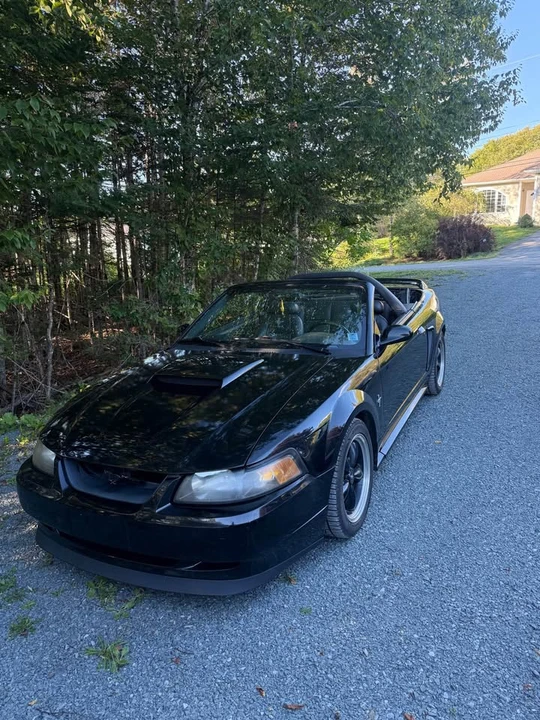 2002 Ford SN95 Mustang - Image 3 of 8