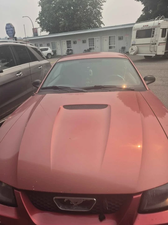 2002 Ford SN95 Mustang - Image 5 of 5