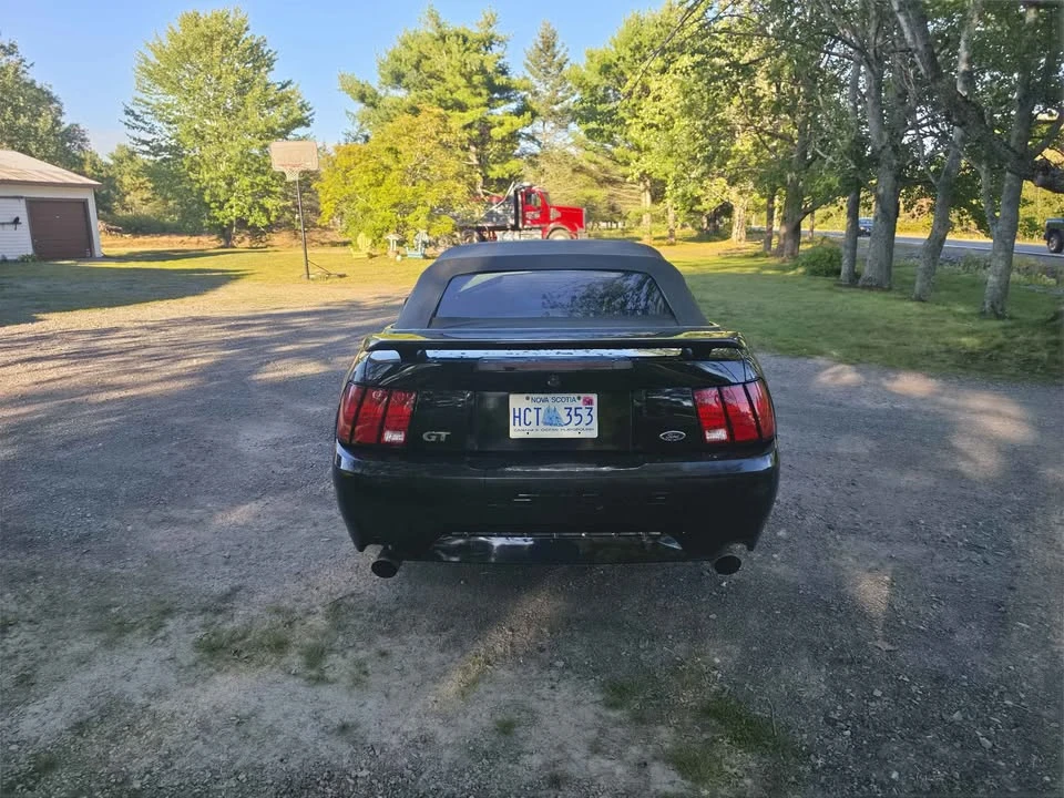2002 Ford SN95 Mustang - Image 9 of 10