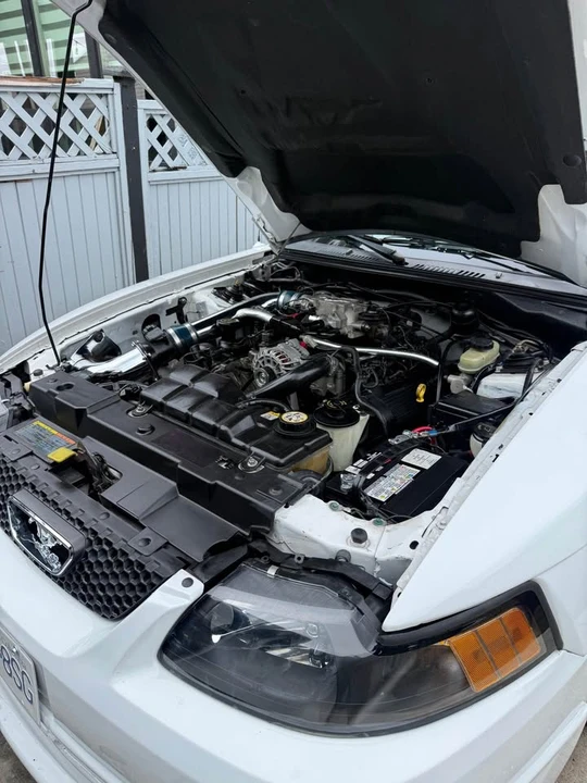 2002 Ford SN95 Mustang - Image 2 of 10