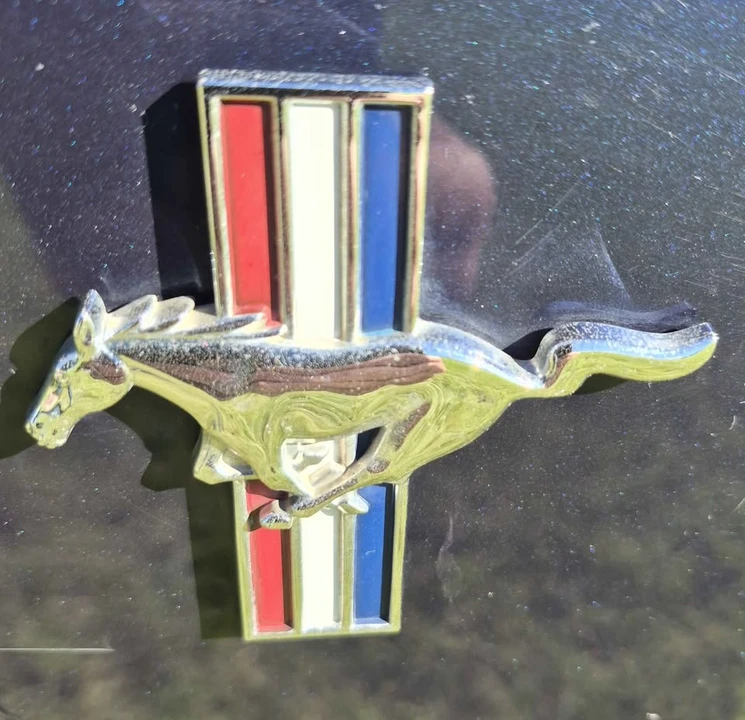 2002 Ford SN95 Mustang - Image 8 of 11