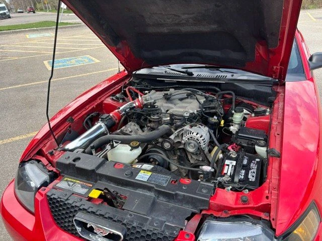 2002 Ford SN95 Mustang - Image 4 of 4