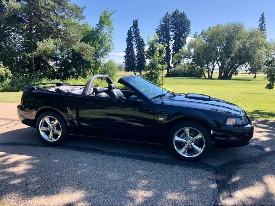 2002 Ford SN95 Mustang - Image 3 of 6