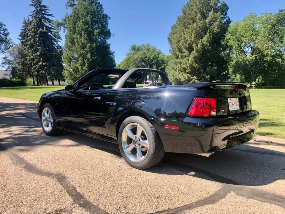 2002 Ford SN95 Mustang - Image 2 of 6