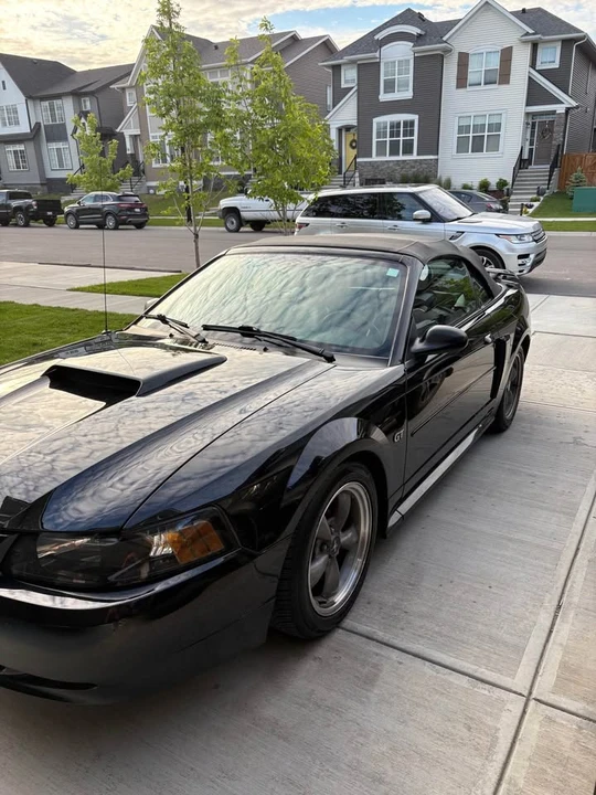 2002 Ford SN95 Mustang - Image 2 of 5
