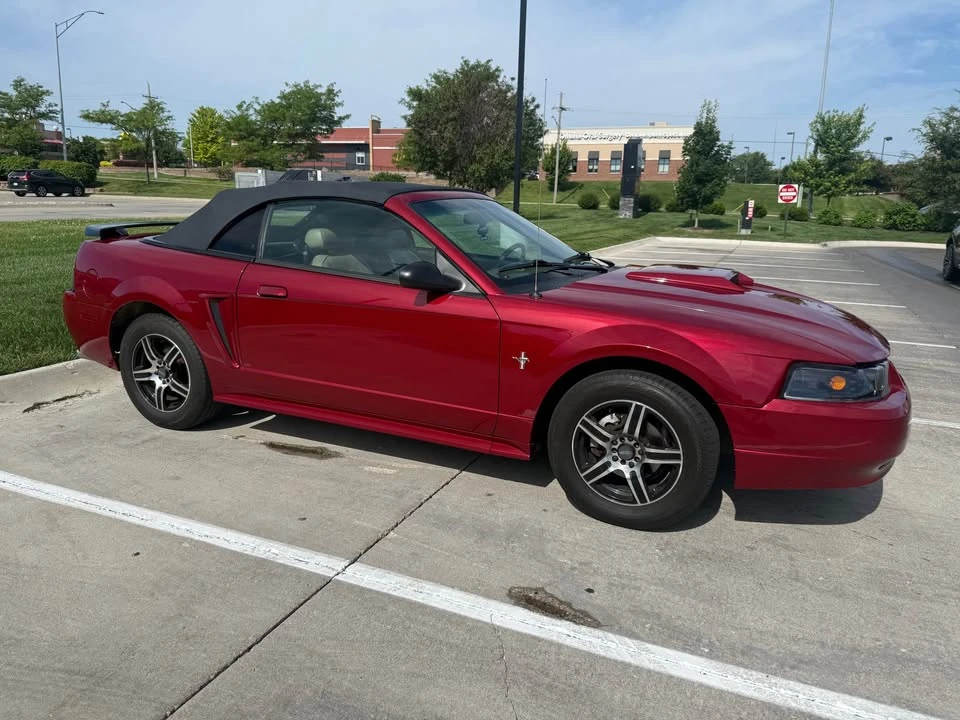 2002 Ford SN95 Mustang - Image 3 of 14