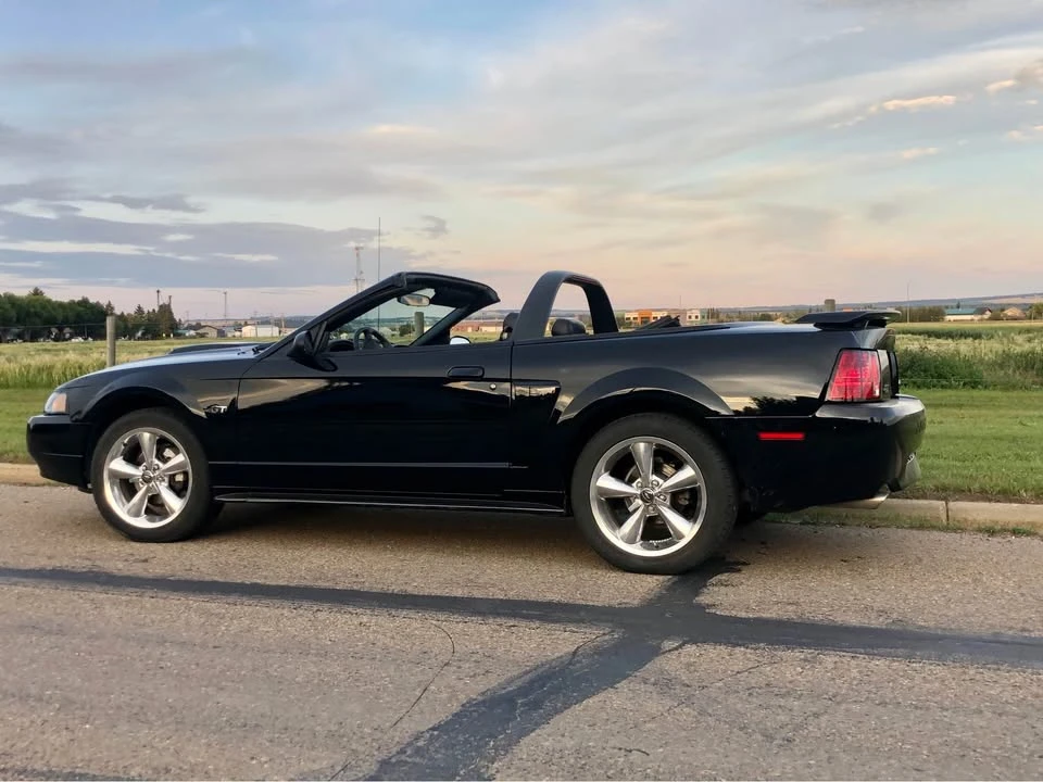 2002 Ford SN95 Mustang - Image 6 of 6