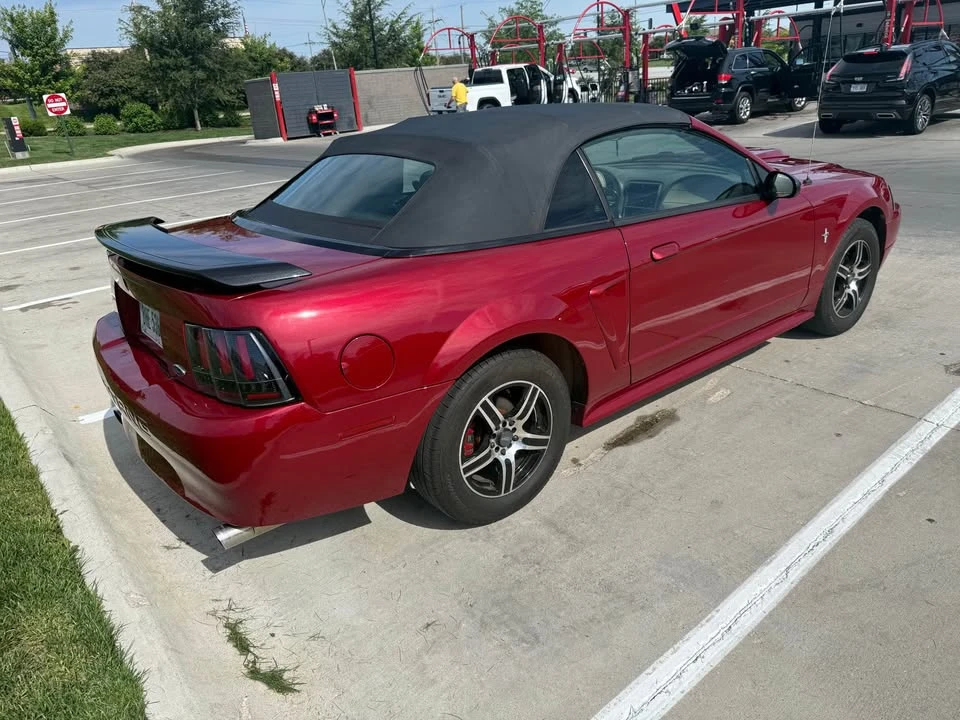 2002 Ford SN95 Mustang - Image 4 of 14