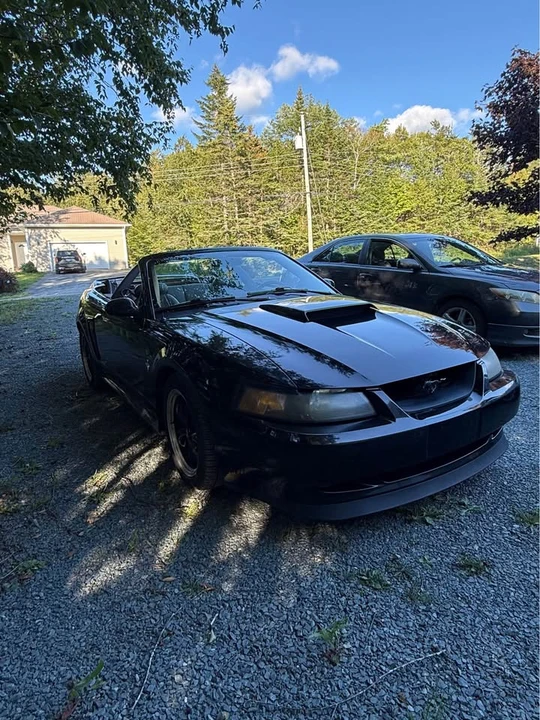 2002 Ford SN95 Mustang - Image 2 of 8