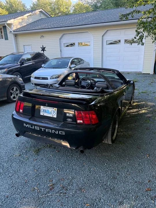 2002 Ford SN95 Mustang - Image 4 of 8