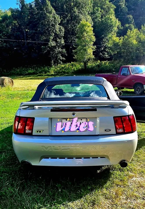 2002 Ford SN95 Mustang - Image 7 of 20