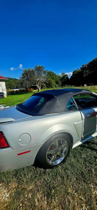 2002 Ford SN95 Mustang - Image 6 of 20