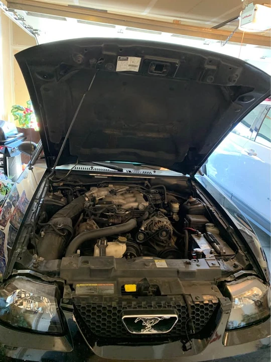 2002 Ford SN95 Mustang - Image 3 of 13