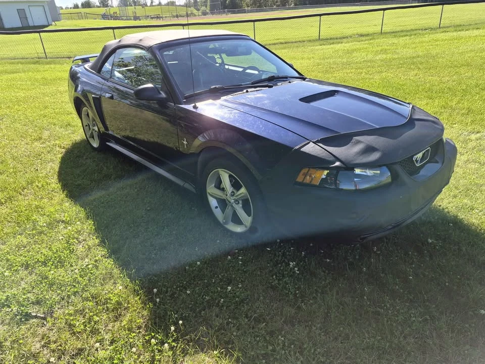 2002 Ford SN95 Mustang - Image 2 of 11