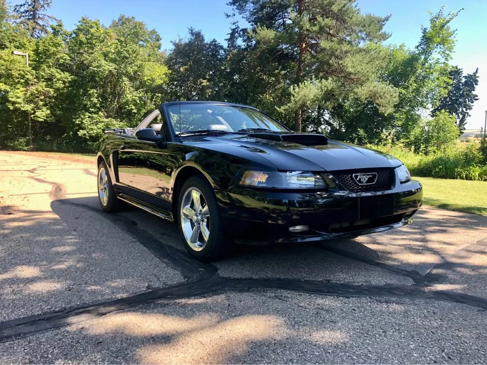2002 Ford SN95 Mustang - Image 4 of 6