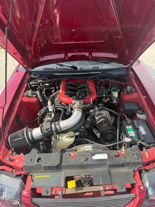 2002 Ford SN95 Mustang - Image 13 of 14