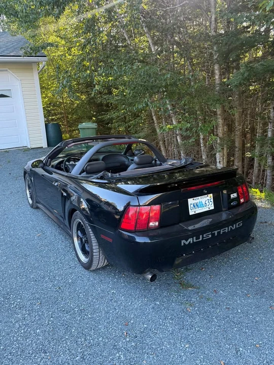 2002 Ford SN95 Mustang - Image 5 of 8