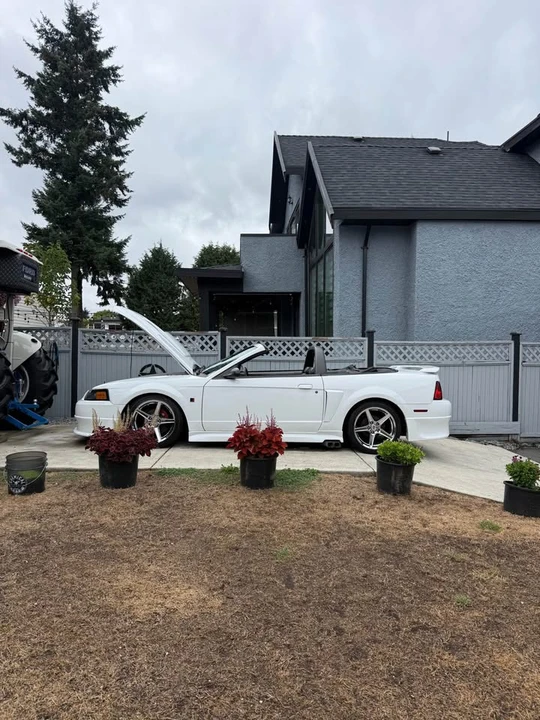 2002 Ford SN95 Mustang - Image 3 of 10