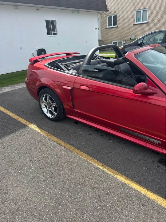 2002 Ford SN95 Mustang - Image 5 of 11