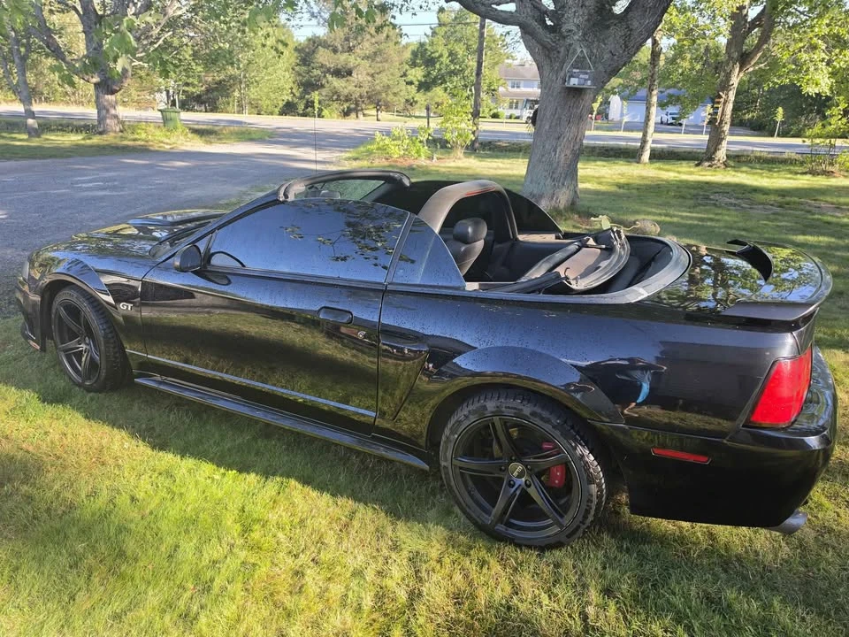 2002 Ford SN95 Mustang - Image 10 of 10