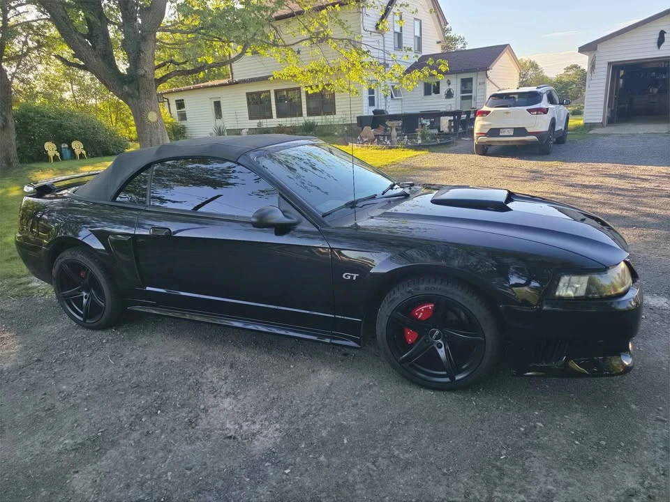 2002 Ford SN95 Mustang - Image 2 of 10