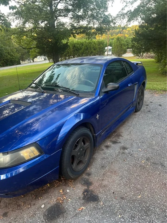2002 Ford SN95 Mustang - Image 2 of 8