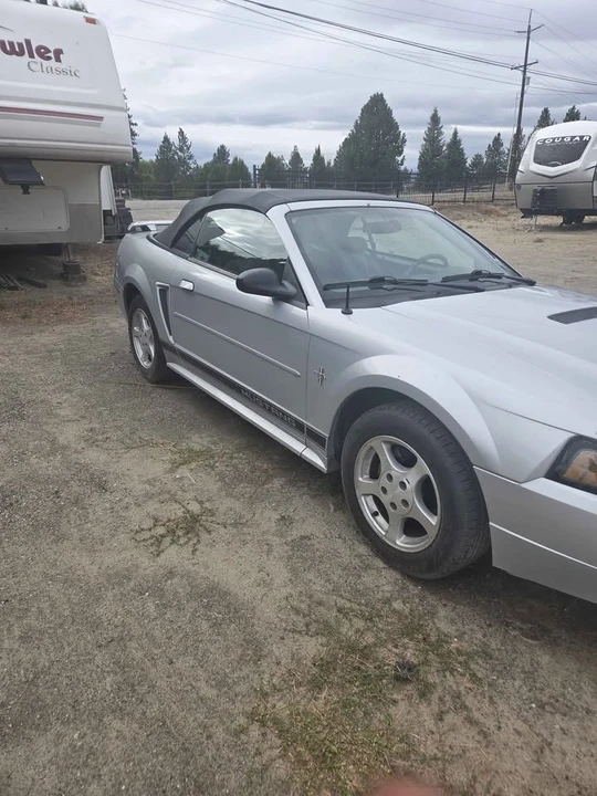 2002 Ford SN95 Mustang - Image 2 of 5