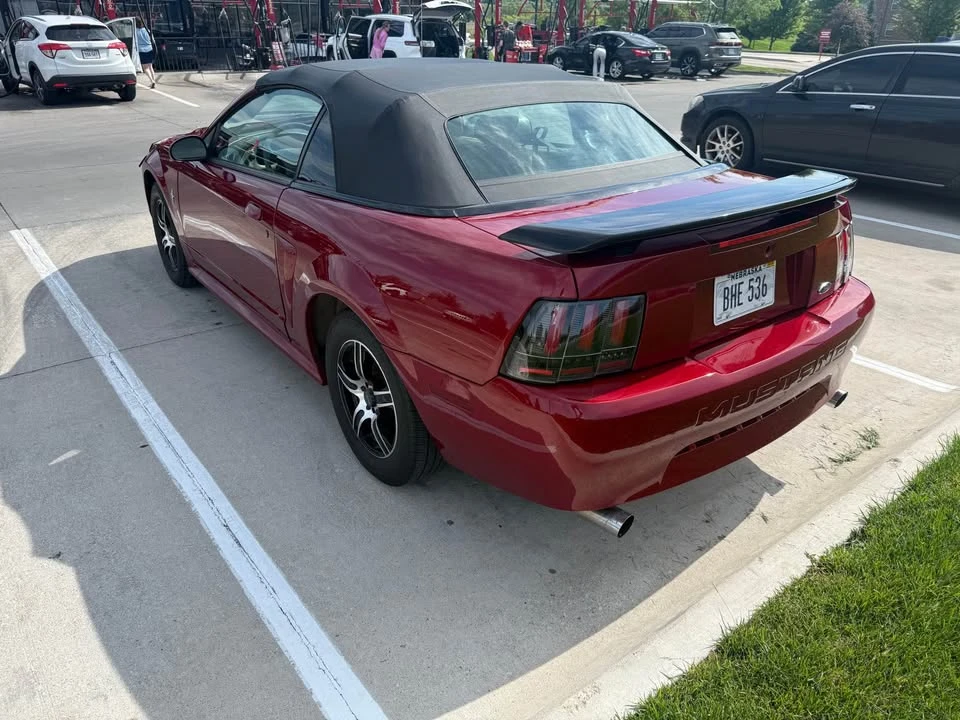 2002 Ford SN95 Mustang - Image 8 of 14