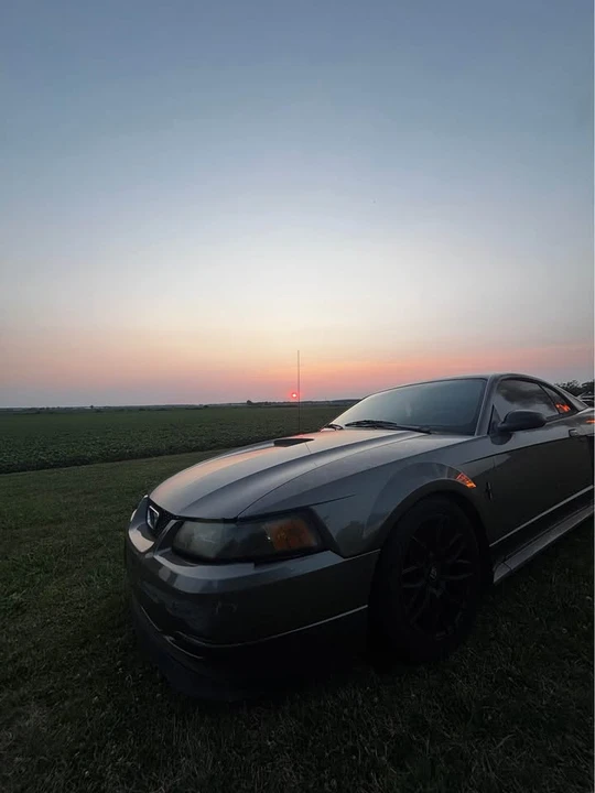 2002 Ford SN95 Mustang - Image 2 of 4