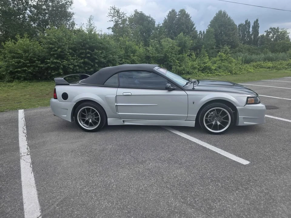 2002 Ford SN95 Mustang - Image 3 of 7