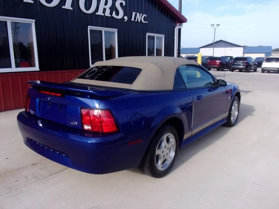 2002 Ford SN95 Mustang - Image 7 of 14