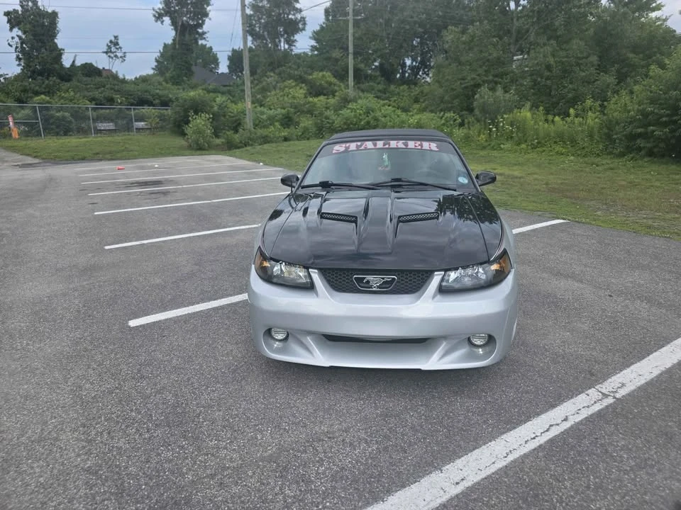 2002 Ford SN95 Mustang - Image 2 of 7