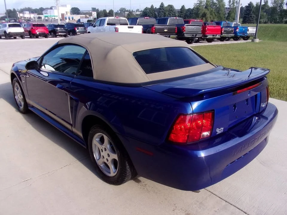 2002 Ford SN95 Mustang - Image 5 of 14