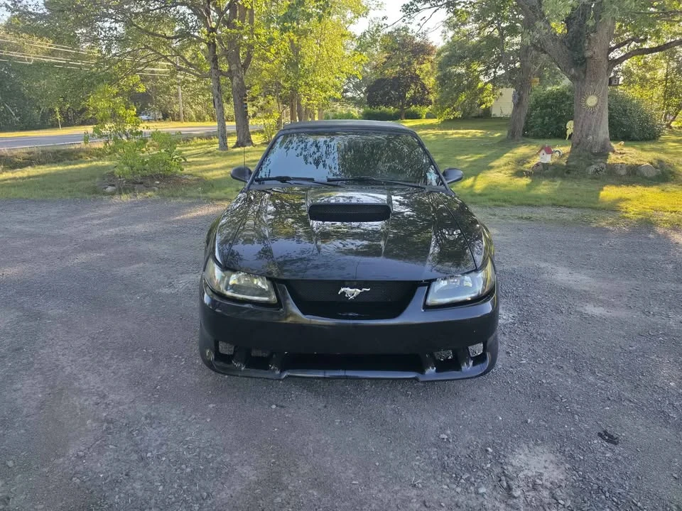 2002 Ford SN95 Mustang - Image 8 of 10