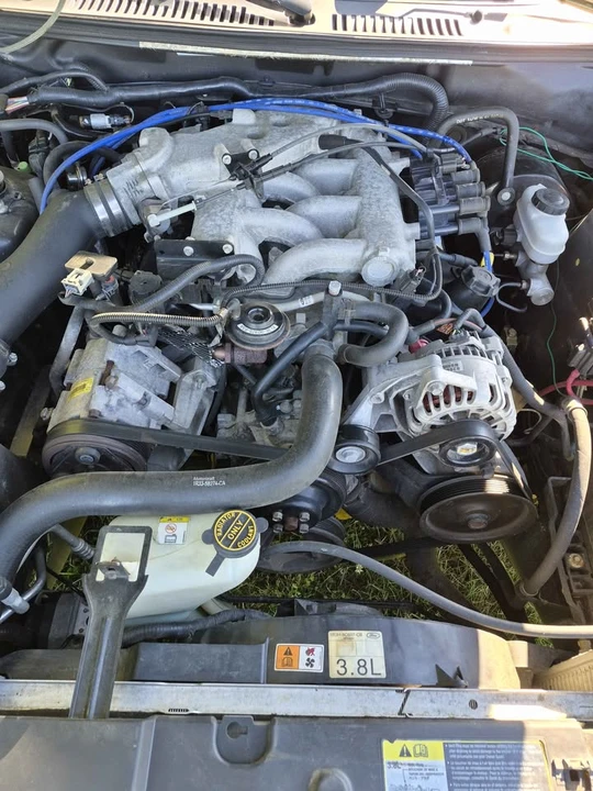2002 Ford SN95 Mustang - Image 9 of 11