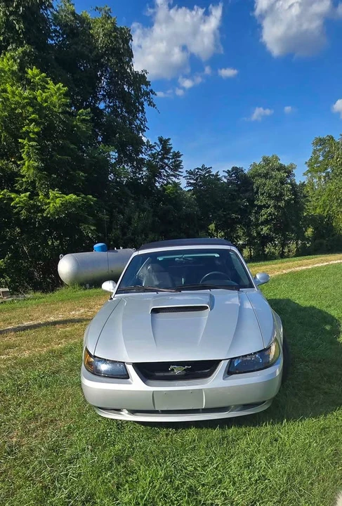 2002 Ford SN95 Mustang - Image 2 of 20