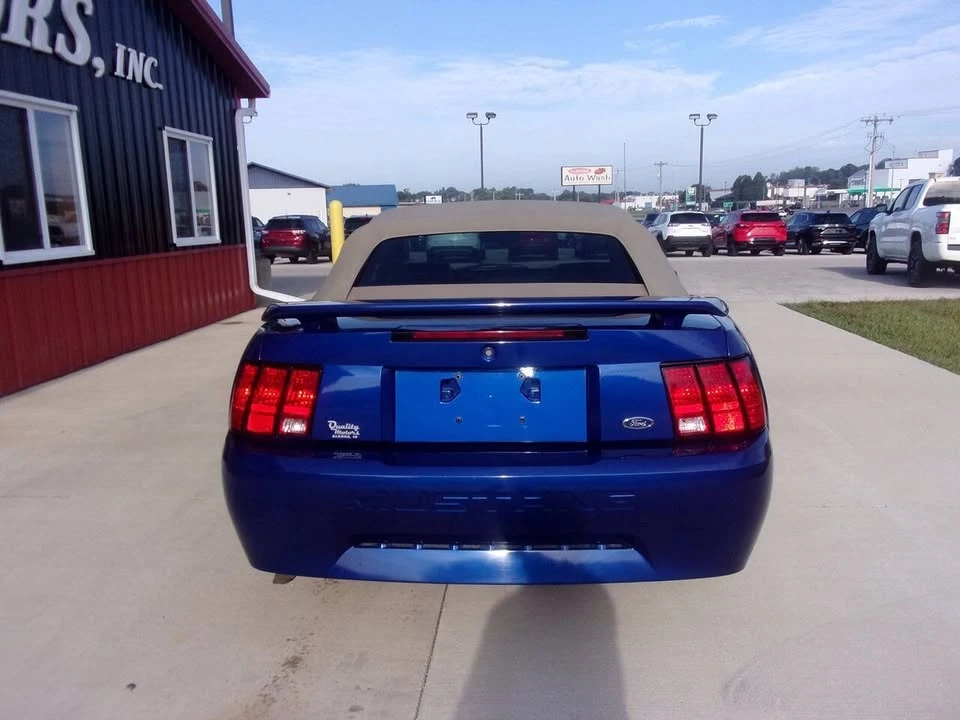 2002 Ford SN95 Mustang - Image 6 of 14