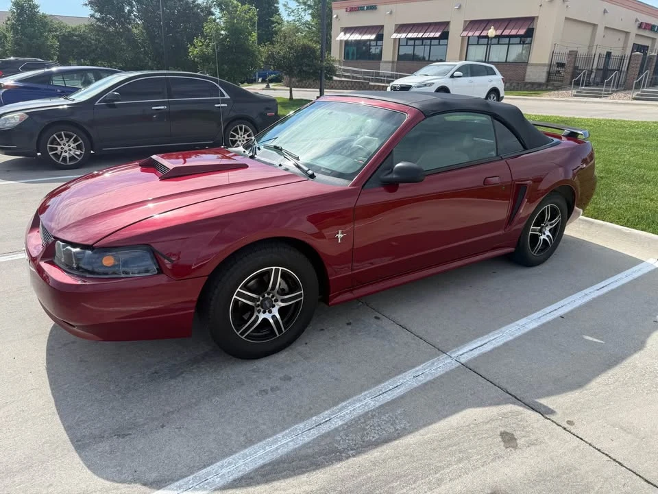 2002 Ford SN95 Mustang - Image 10 of 14