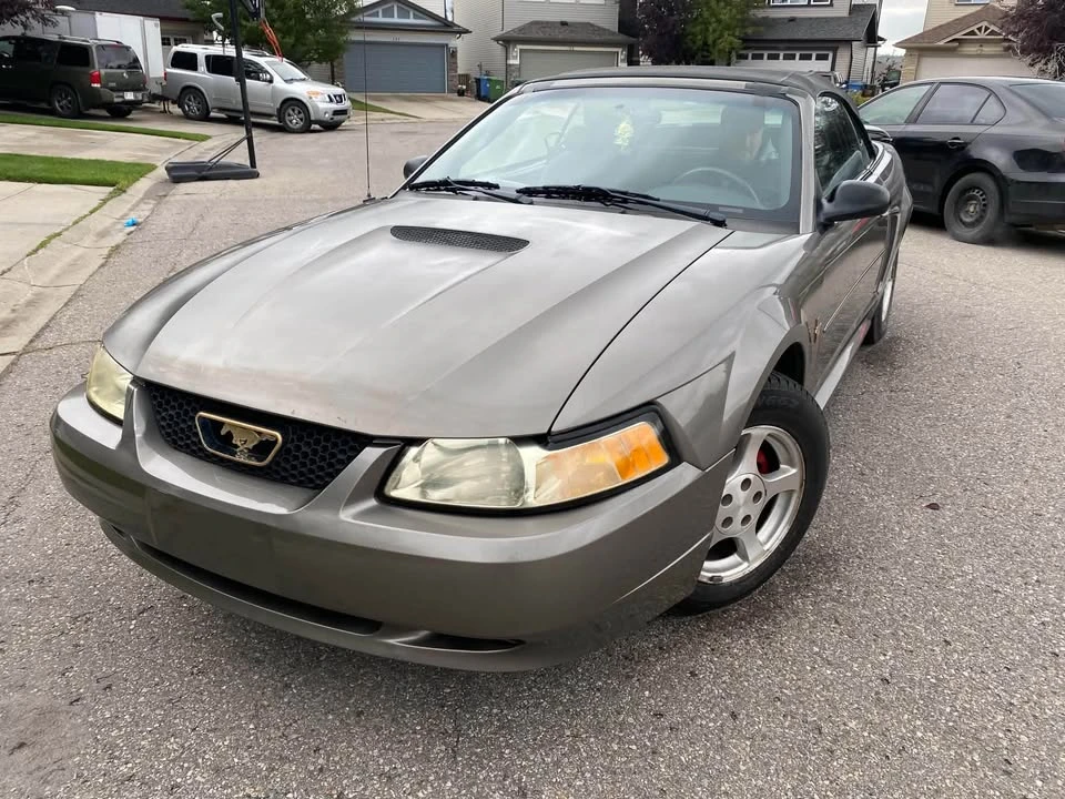 2002 Ford SN95 Mustang - Image 4 of 9