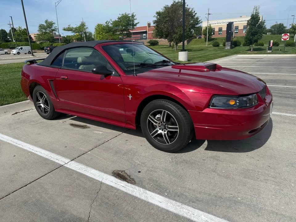 2002 Ford SN95 Mustang - Image 2 of 14
