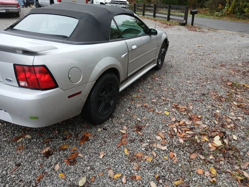 2002 Ford SN95 Mustang - Image 4 of 5
