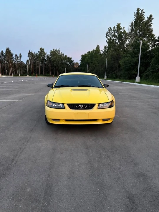 2002 Ford SN95 Mustang - Image 4 of 7
