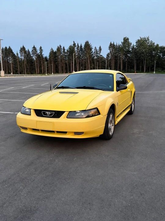 2002 Ford SN95 Mustang - Image 5 of 7