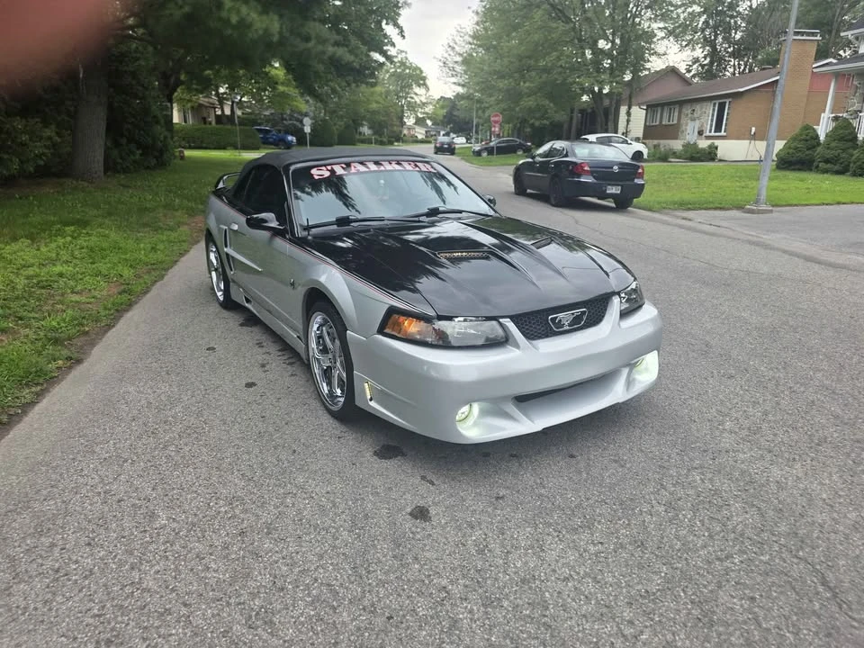 2002 Ford SN95 Mustang - Image 3 of 10