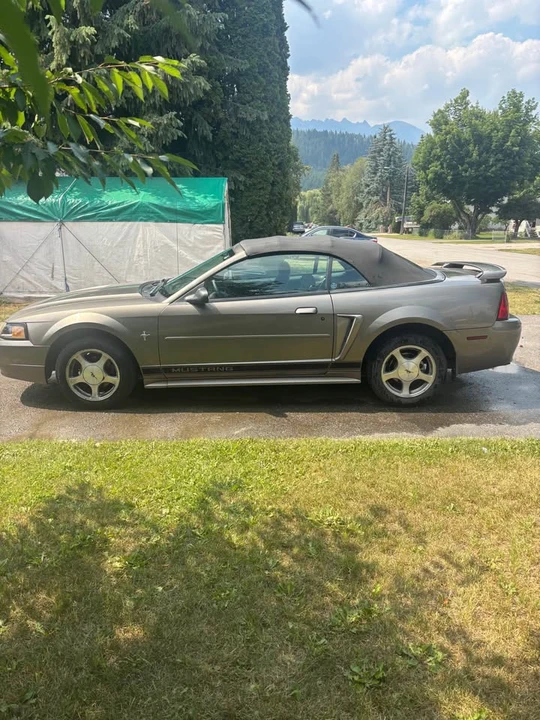2002 Ford SN95 Mustang - Image 4 of 19