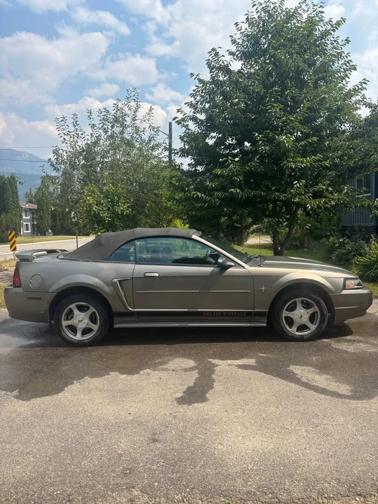 2002 Ford SN95 Mustang - Image 3 of 19
