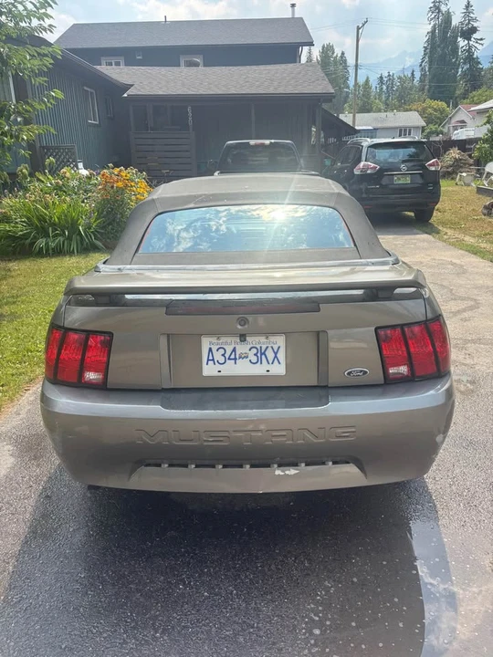 2002 Ford SN95 Mustang - Image 14 of 19