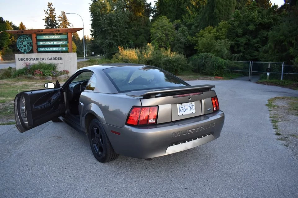 2002 Ford SN95 Mustang - Image 11 of 15